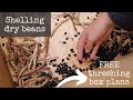 Shelling Dry Beans | 3 ways to process beans