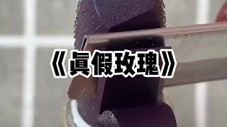 《真假玫瑰》一口气看完 | 我整容假冒真千金，抢占了她的家人，还霸凌了她的妹妹#小说 #故事