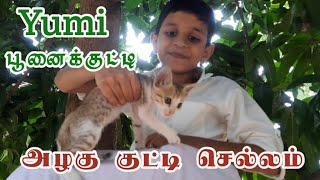 பூனைக்கு வைத்த பெயர்- யுமி |  Cat activities in home | பூனை வளர்ப்பு | பூனைக்குட்டி என்ன சாப்பிடும்