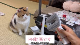 【三毛猫・PR動画】ペットグルーミングセットの紹介をするミケ（2024年8月13日）