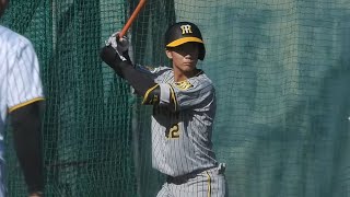 【紅白戦】藤川監督に猛アピール？！山田脩也、シャープなバッティングで快音連発！自慢の守備でも堅実さをアピール【阪神秋季キャンプ】