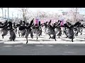 and as『いざ』サクラタウンよさこい2024～春の特別祭～第二部