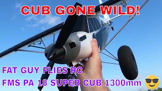 FMS PA-18 SUPER CUB 1300mm -CUB GONE WILD! by Fat  Guy Flies RC