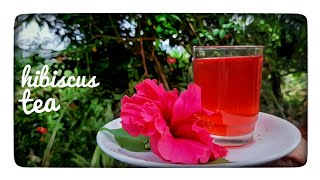 | HIBISCUS TEA | ചെമ്പരത്തി പൂവ് കൊണ്ടൊരു ചായ |FOODISH WORLD|