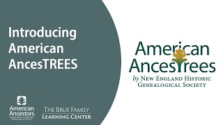 Introducing American AncesTREES