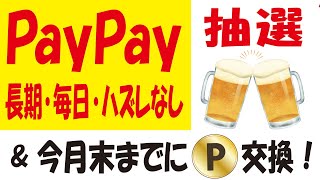 【超強化】TIPSTAR友情ガチャ＆【延長】ピッコマポイ活＆【毎日抽選】ヤフーマップ写真投稿キャンペーン＆【15万🎯】パーフェクトサントリービール抽選