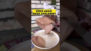 Sirke Anası nasıl saklanır? #shorts #sirke #sirkeanası