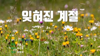 [은성 반주기] 잊혀진계절 - 이용