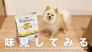 ドッグフード「Supremo超小型犬用」を買ってみた