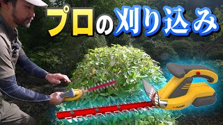 【サツキの刈り込み】お庭のプロがムサシの超有能バリカンを使って解説＜美しく仕上げるテクニック＞