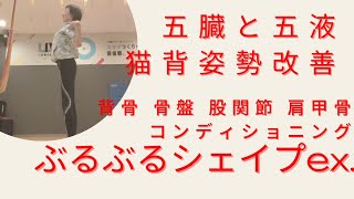 五臓と五液 姿勢改善 背骨 骨盤 肩甲骨 股関節スッキリ ぶるぶるシェイプワーク