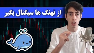 آموزش سیگنال گرفتن از نهنگ های کریپتو 🔥 آموزش کامل ابزار dexcheck برای ردیابی نهنگ و تریدر های برتر