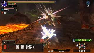 【MHXXNS生配信】８時間耐久！ブラキ炭鉱でモンハン労働しまくれ！【３コルム３グギ・・・キボンヌｗ】