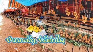 ຕະຫຼາດໝາກໄມ້ເຜົ່າມົ້ງແຄມທາງບ້ານທົ່ງນາມີ | ตลาดขายผลไม้ป่าเผ่าม้งบ้านท่งนามี เมืองปากกะดิง บอลิคำไซ