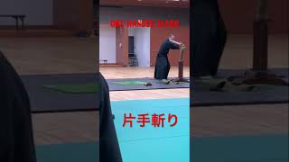 ONE-HANDED SLASH片手斬り