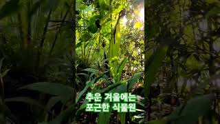 추운 겨울에는 따뜻한 식물원