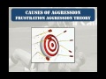 Frustration Aggression Theory