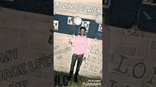 LulC-Fallen Soldiers