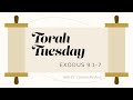 Torah Tuesday - Exodus 9:1-7