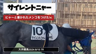 【大井競馬】にゃ〜と書かれたメンコをつけたグレー芦毛の静かなる猫🐈サイレントニャー🐎