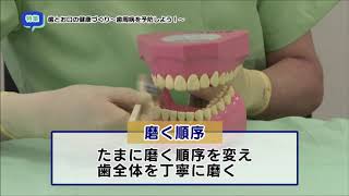 特集「歯とお口の健康づくり～歯周病を予防しよう！～」（2020年11月9日～11月15日）