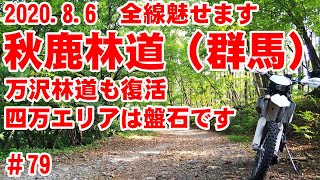 【全線収録】秋鹿林道の夏を魅せます【四万ロングダート】