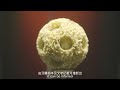 【national treasures in liaoning】ivory puzzle balls with patterns of clouds dragons and characters