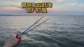 半夜替粉丝云赶海，八爪鱼收获不少，还有大海参