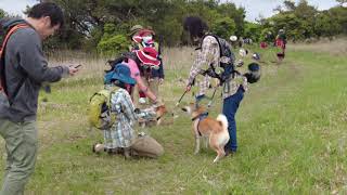 万年山再訪登山(2021/05/22)大分玖珠