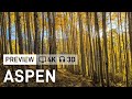 [4K] Aspen - Smuggler Mountain Trail - Tour Preview