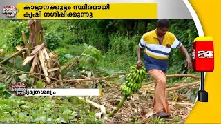 മലയാറ്റൂരിൽ വനത്തോട് ചേർന്നുനിൽക്കുന്ന ജനവാസ മേഖലകൾ വന്യമൃഗ ശല്യത്താൽ പൊറുതിമുട്ടുകയാണ്