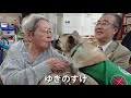 殺処分寸前の捨て犬達をセラピードッグ へ