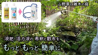 液肥・活力剤をもっと楽にする方法！？　夏バテの庭の植物に活力剤を与えてみた　ガーデニングをもっと楽しく