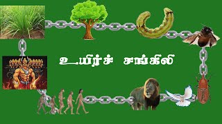 உலக  உயிர்களை  இணைக்கும் மாயச் சங்கிலி