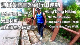 Hong Kong Hiking: 2023-08-20 short distance hike, Sir Cecil's Ride, Quarry Bay Tree Walk