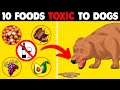 ⚠️ Warning: These 10 Common Foods Are Toxic to Dogs (You'll Be Surprised!)