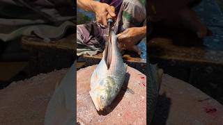 Amazing Delicious Padma Hilsa (ilish) Fish Cutting Skills In Bangladesh Fish Market #shorts