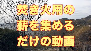 【薪集め】焚き火に使かうための薪を集めるだけの動画