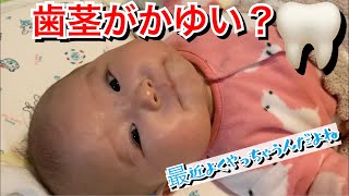 【生後107日目】歯茎がかゆい？もう歯固め必要？