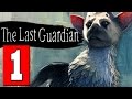 The Last Guardian Gameplay Walkthrough Part 1 Full Game Lets Play Playthrough Review [HD] PS4 PRO