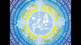 The Northern Hues - New York Love