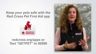 Prepping Pets for Fire Emergencies (LONG VERSION)