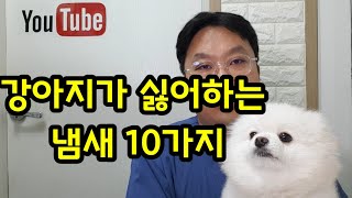 강아지가 싫어하는 냄새 10가지