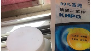 草莓日常管理浇水施肥及籽播传家宝番茄近况