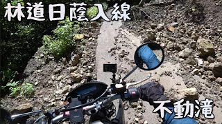 KLX125 　林道日蔭入線　天狗岩線　奥大血川線