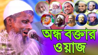 ভারতের অন্ধ মাওলানার কন্ঠে ওয়াজ┇ভাইরাল বক্তাদের থেকে┇অন্ধ বক্তা┇রহমাতুল্লাহ সাহেব┇rahmatullah jalsa