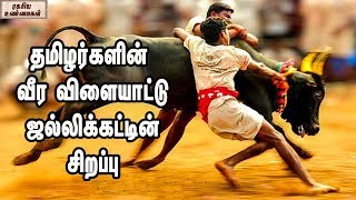 தமிழர்களின் வீர விளையாட்டு ஜல்லிக்கட்டின் சிறப்பு ||  History of Jallikattu