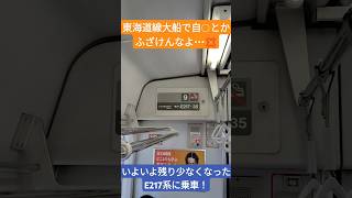 【東海道線大船でグモ発生・・・💢】いよいよ残り少なくなったE217系に乗車！