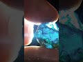 Spinnel (drki ) 13.65Crt💎| Sri Lanka gemstone - Yakkula Rawana