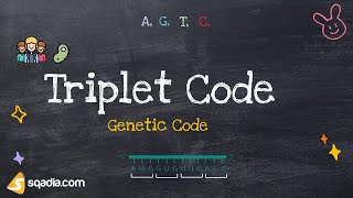 Genetic Code | Triplet Code | Adenine, Guanine, Cytosine, Thymine